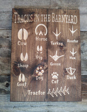 Tracks of the Barnyard