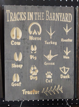 Tracks of the Barnyard