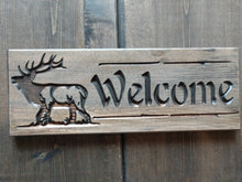 Welcome-Elk